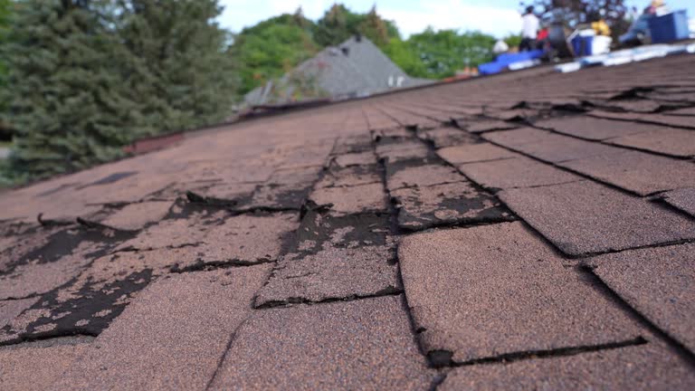 Best Storm Damage Roof Repair  in Fkville, AL